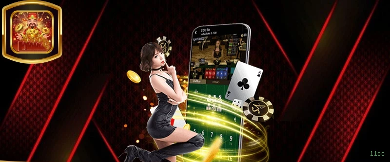 Login 11cc